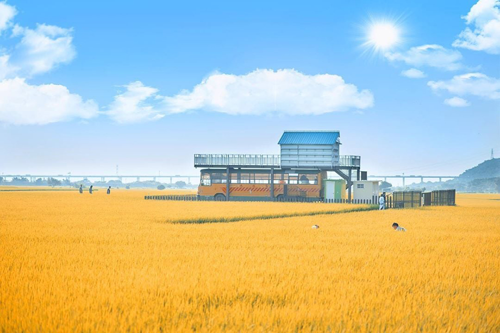 270109586 1049235702307727 4051051963896581693 n